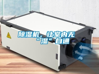 常见问题除湿机，让室内无“湿”自通