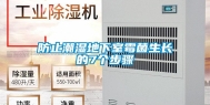 防止潮湿地下室霉菌生长的7个步骤