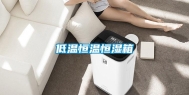 低温恒温恒湿箱