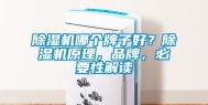 除湿机哪个牌子好？除湿机原理，品牌，必要性解读