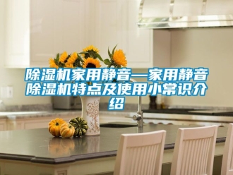 常见问题除湿机家用静音—家用静音除湿机特点及使用小常识介绍