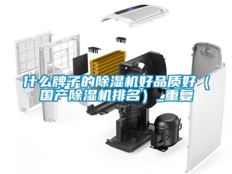 行业新闻什么牌子的除湿机好品质好（国产除湿机排名）_重复