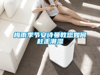 企业新闻梅雨季节安诗曼教您如何赶走潮湿