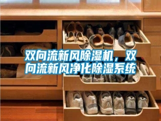 知识百科双向流新风除湿机，双向流新风净化除湿系统