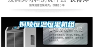 铜陵恒温恒湿机组