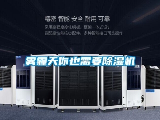 知识百科雾霾天你也需要除湿机