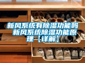 行业新闻新风系统有除湿功能吗 新风系统除湿功能原理【详解】