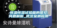 恒温恒湿试验箱的常见问题解析_武汉金测检测