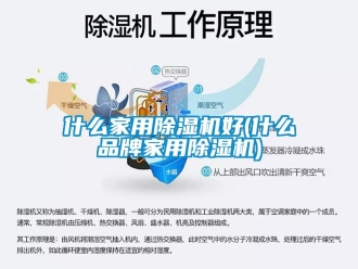 企业新闻什么家用除湿机好(什么品牌家用除湿机)