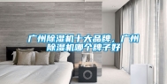广州除湿机十大品牌，广州除湿机哪个牌子好