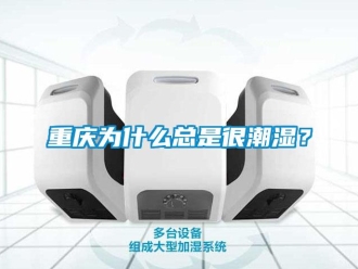 知识百科重庆为什么总是很潮湿？