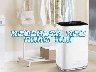 企业新闻除湿机品牌哪个好 除湿机品牌介绍【详解】
