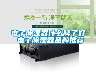 行业新闻电子除湿器什么牌子好 电子除湿器品牌推荐