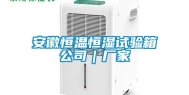 安徽恒温恒湿试验箱公司｜厂家