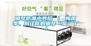 钢琴防潮小妙招 ｜ 梅雨季，别让你的钢琴“霉”了！