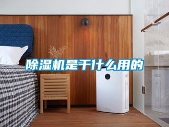 行业新闻除湿机是干什么用的