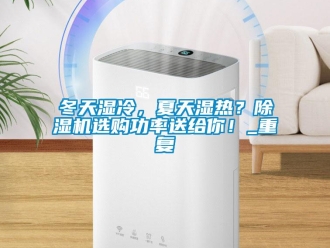 行业新闻冬天湿冷，夏天湿热？除湿机选购功率送给你！_重复