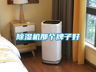 行业新闻除湿机那个牌子好