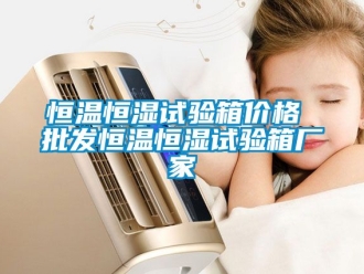 知识百科恒温恒湿试验箱价格 批发恒温恒湿试验箱厂家