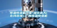 恒温恒湿机厂家-湖北高天(在线咨询)-广西恒温恒湿机
