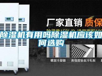 行业新闻除湿机有用吗除湿机应该如何选购