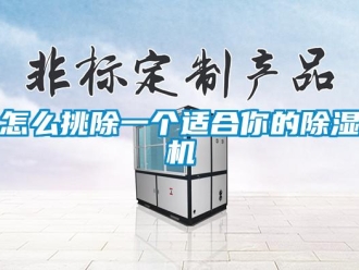 行业新闻怎么挑除一个适合你的除湿机