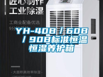 常见问题YH-40B／60B／90B标准恒温恒湿养护箱