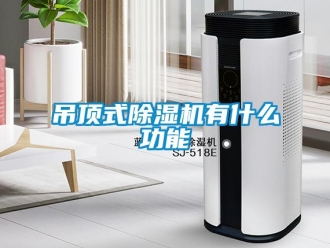 行业新闻吊顶式除湿机有什么功能