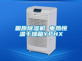 知识百科固原除湿机 电热恒温干燥箱YPHX