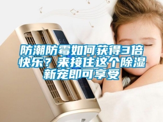 常见问题防潮防霉如何获得3倍快乐？来接住这个除湿新宠即可享受